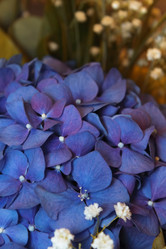 Similar image 1590604