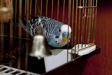 Similar image 1590632