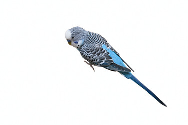 Similar image 1590645