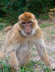 Similar image 1590658