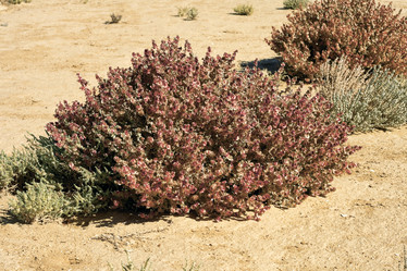 Similar image 1591185