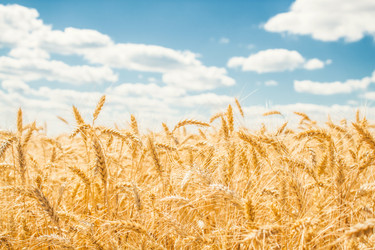 Similar image 1591267