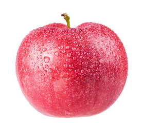 Similar image 1591273