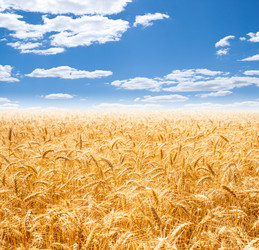 Similar image 1591278