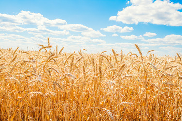 Similar image 1591281