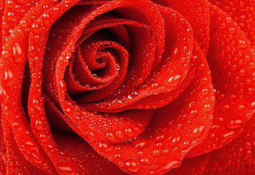 Similar image 1591289