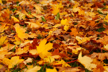 Similar image 1591294