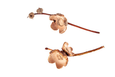 Similar image 1591312