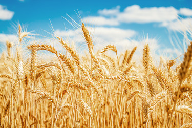 Similar image 1591319