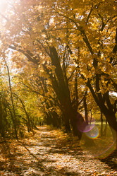 Similar image 1591406