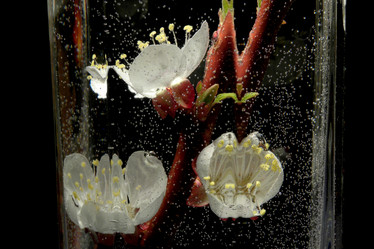 Similar image 1591610