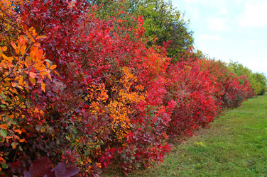 Similar image 1591613