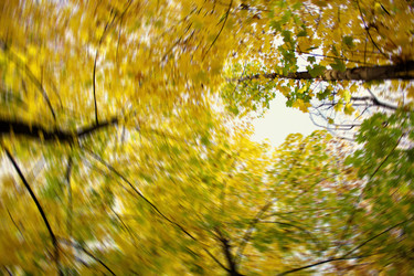 Similar image 1591614