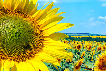 Similar image 1591619