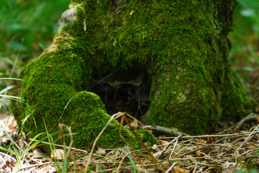 Similar image 1591625