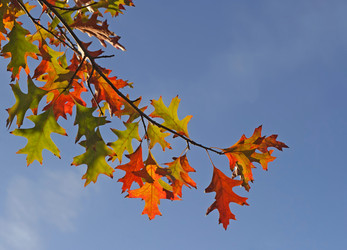 Similar image 1591651