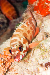 Similar image 1591670