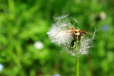 Similar image 1591715