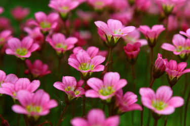 Similar image 1591727