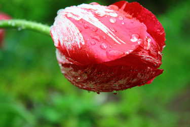 Similar image 1591728