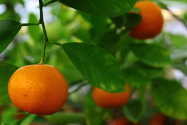 Similar image 1591730