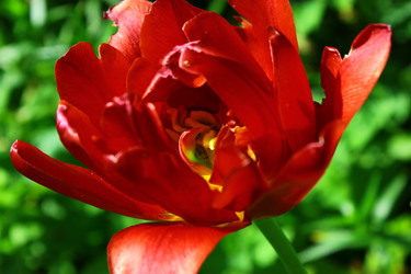 Similar image 1591731