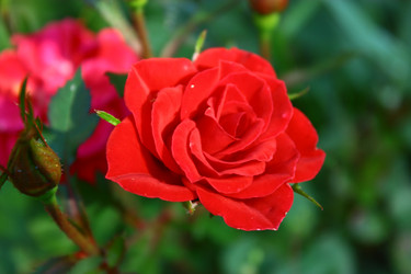 Similar image 1591734