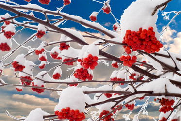 Similar image 1591747