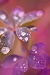 Similar image 1591768