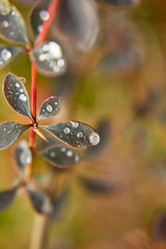 Similar image 1591769