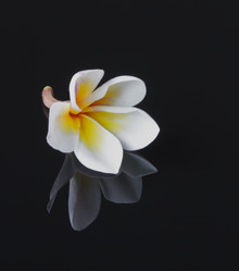 Similar image 1591804