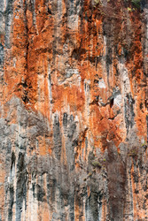 Similar image 1591824