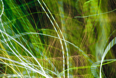 Similar image 1591828