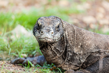 Similar image 1591870