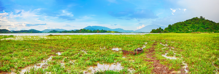 Similar image 1591872