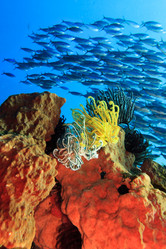 Similar image 1591880