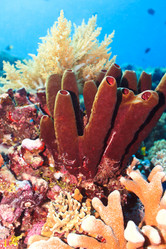 Similar image 1591883