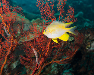 Similar image 1591884