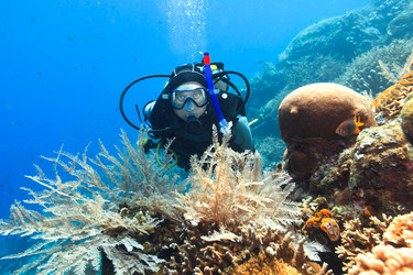 Similar image 1591886