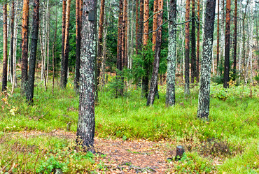 Similar image 1591931