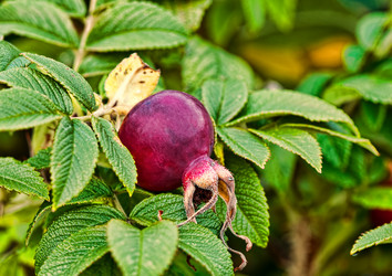 Similar image 1591953