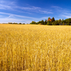 Similar image 1591957