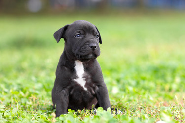 Similar image 1591960