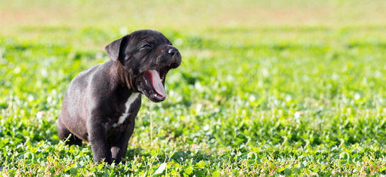 Similar image 1591961