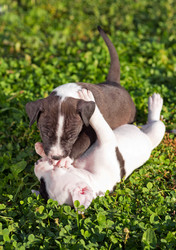 Similar image 1591963