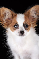 Similar image 1591964