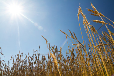 Similar image 1591966