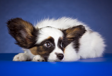 Similar image 1591974