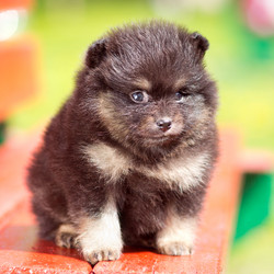 Similar image 1591981