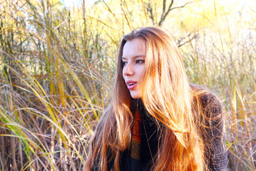 Similar image 1592230